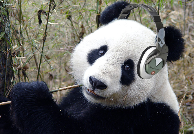 pandas_like_headphones__really_by_emo_panda1.jpg